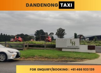 What to do in Dandenong Ranges? Complete Guide By Dandenong Taxi Dandenong ranges