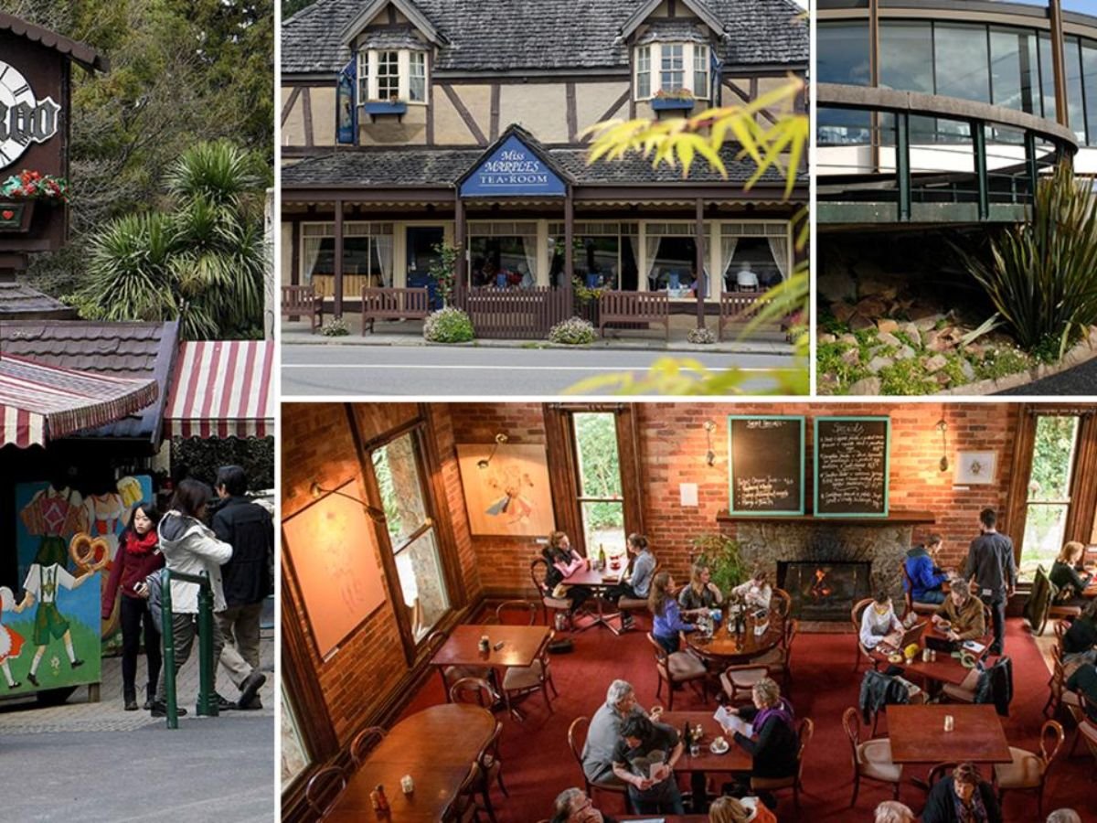Dandenong Ranges Your Ultimate Guide For A Memorable Visit Dandenong dandenong-ranges-your-ultimate-guide-for-a-memorable-visit-dandenong
