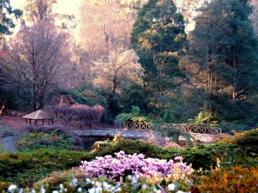 dandenong ranges botanic garden